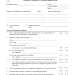 Affidavit Of Voluntary Relinquishment Of Parental Rights Form Fill