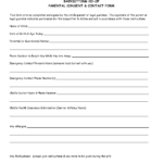 Babysitter Medical Consent Form Template Consent Forms Babysitter