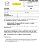 British Airways Parental Guardian Consent Form 2022 Printable Consent