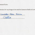 Cameron Holt s A Level Media Studies Permission Form