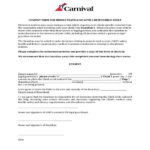 Carnival Cruise Consent Form For Minors Consent Form