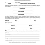 Child Of A Single Parent Travel Consent Form 2023 Printable Consent