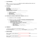 Child Travel Consent Form For United Airlines 2022 Printable Consent