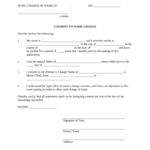 Consent Name Change Form Fill Out And Sign Printable PDF Template