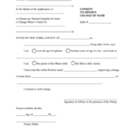 Consent To Minor s Change Of Name New York Fill Out Sign Online