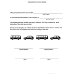 Daycare Transportation Permission Form Transport Informations Lane