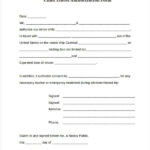 Disney Cruise Parental Consent Form 2023 Printable Consent Form 2022