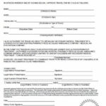 Disney Cruise Parental Consent Form Consent Form