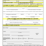 DS 3053 Fill Out And Sign Printable PDF Template SignNow