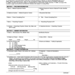 Fillable Prior Authorization Oxygen Attachment Printable Pdf Download