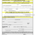 Fillable Statement Of Consent Issuance Of A U s Passport To A Minor