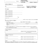 Form AD0204 Fill Out Sign Online And Download Printable PDF