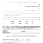 Form Consent Fill Online Printable Fillable Blank PdfFiller