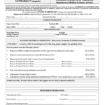 Form Dmas P224 Virginia Medicaid Request For Service Authorization