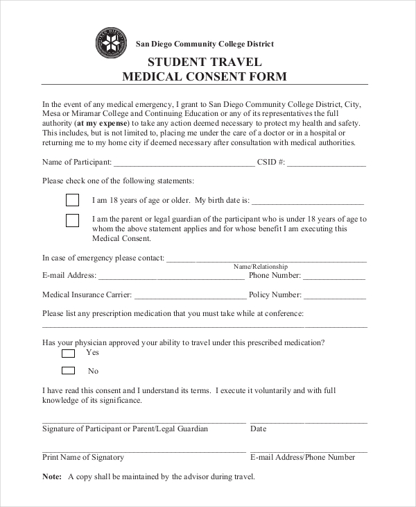 FREE 11 Sample Travel Consent Forms In PDF MS Word Excel