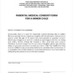 FREE 20 Medical Consent Forms In PDF Ms Word