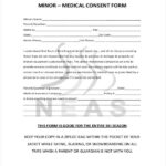 FREE 22 Medical Consent Forms In PDF Ms Word