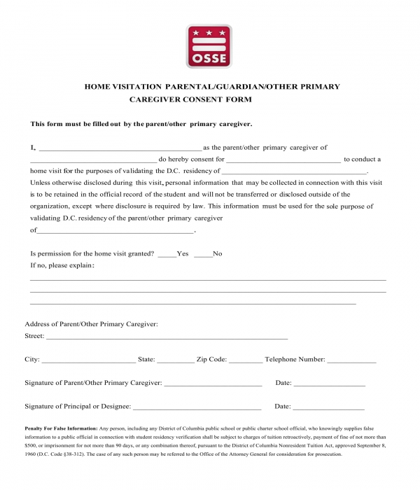 FREE 6 Caregiver Consent Forms In PDF MS Word