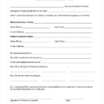 FREE 9 Sample Medical Consent Forms In PDF MS Word