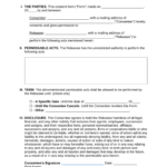 Free Consent Forms 22 Sample PDF Word EForms