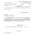 International Travel Consent Child Fill Online Printable Fillable