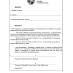 Michigan Abortion Consent Form Pdf Fill Online Printable Fillable