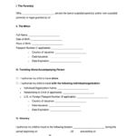 Minor Child Travel Consent 2017 2021 Fill And Sign Printable