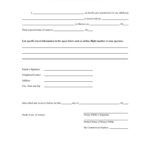 Minor Travel Consent Form American Airlines 2022 Printable Consent