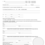 Notarized Parental Consent Form For Minor Child International Travel