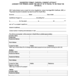 Parental Consent Affidavit Form Republic Of South Africa Printable