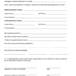 Printable Medical Consent Form Pdf Fill Out And Sign Printable PDF