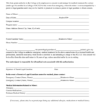 State Of Indiana Parental Consent Form For Medical Treatment 2022