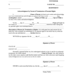 Termination Of Parental Rights Ohio Form Fill Online Printable