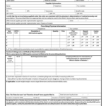 Title Xix Form 2013 Fill Out Sign Online DocHub