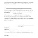 View Authorization Letter For Child To Travel Tips Sample