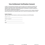 Visa Entitlement Form Online Fill Out And Sign Printable PDF Template